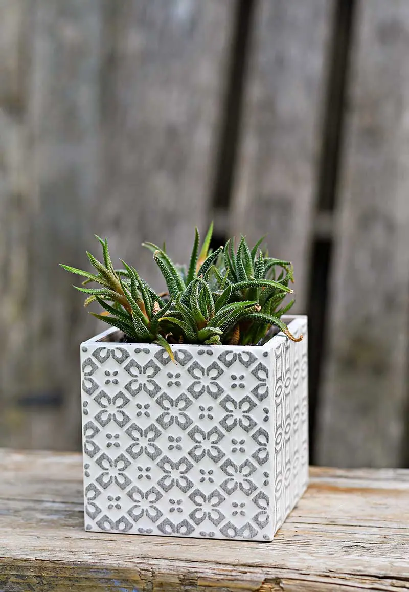 Square tile Boho Moroccan Planter in grey