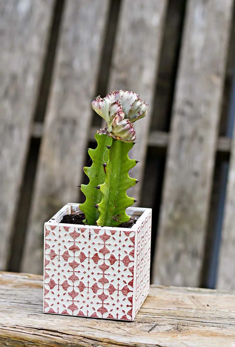 Square Tiled planter boho style in red