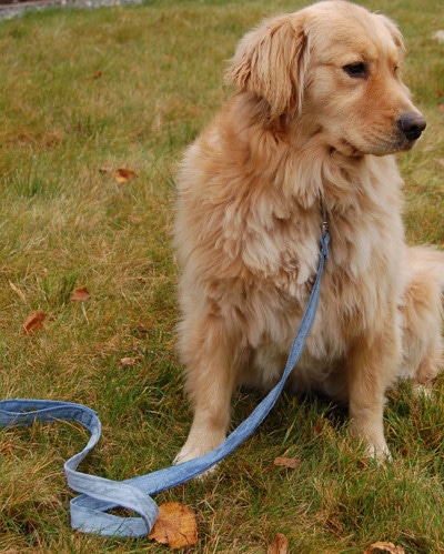DIY denim dog leash