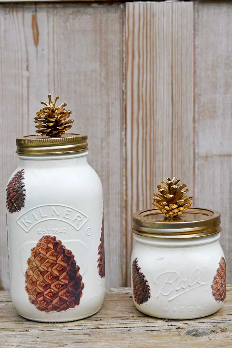 Pinecone fall Mason jar