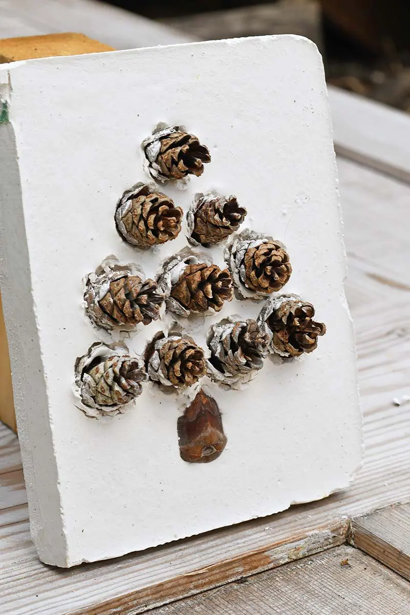 DIY Plaster of Paris pinecone Christmas tree tile