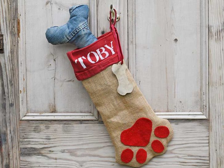 Personalized Dog Christmas Stocking DIY