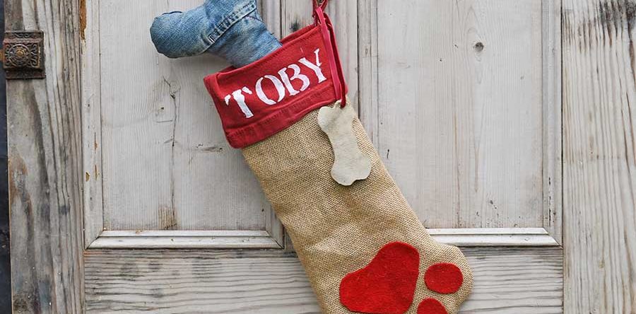 Free Pattern For A Cute Personalized Dog Christmas Stocking