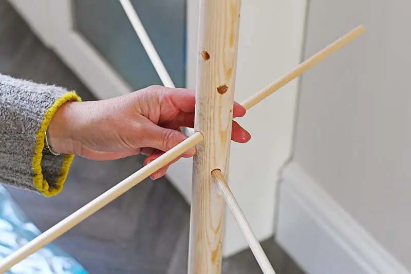 Putting in the dowel in tree