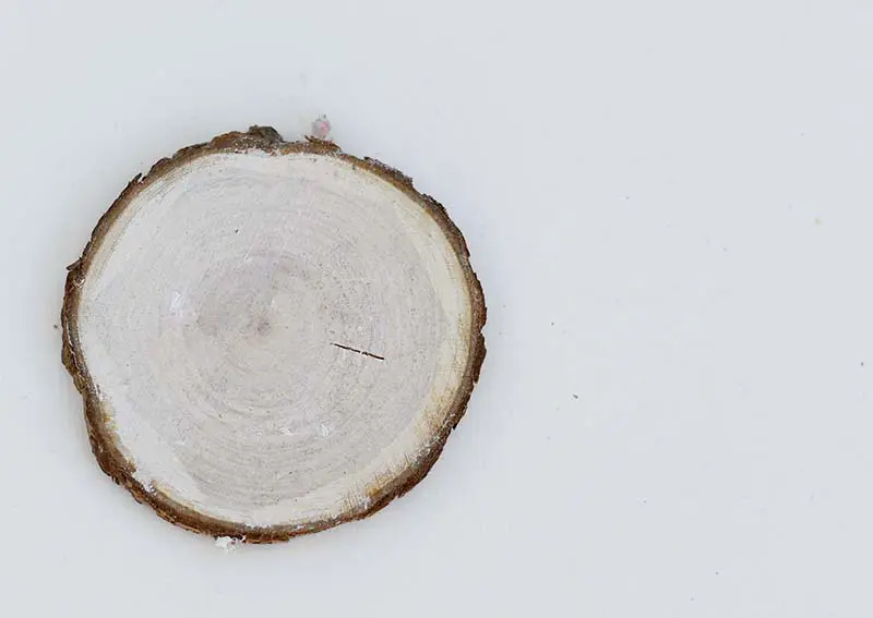 White washed wood slice.