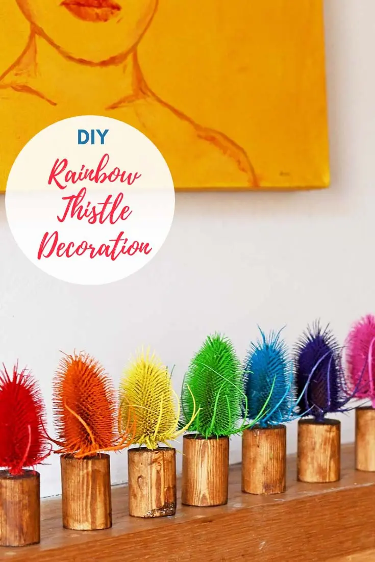 DIY rainbow dried thistle decoration for your mantle.
