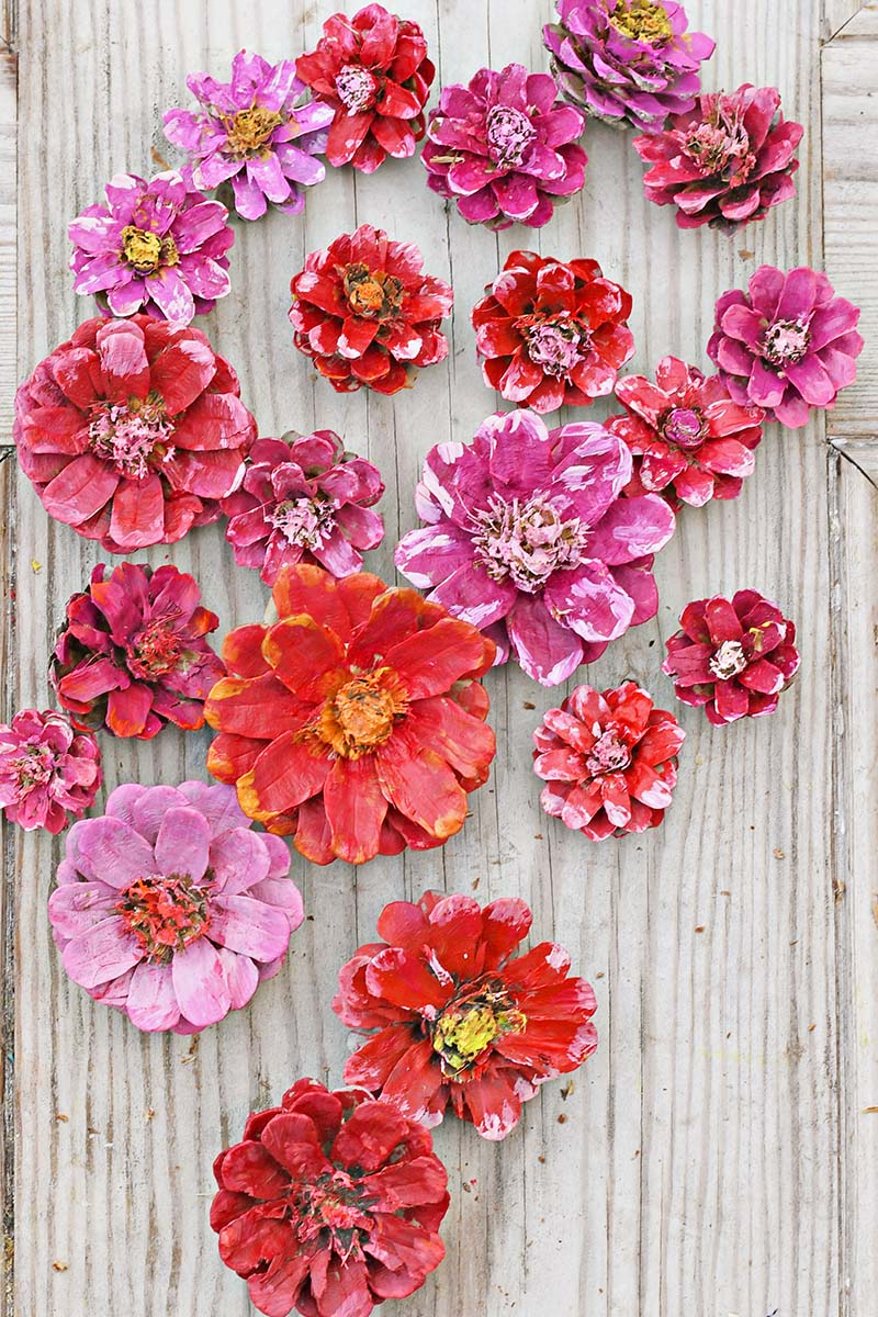 Painted pinecones to look like flowers for a Valentine's decoration