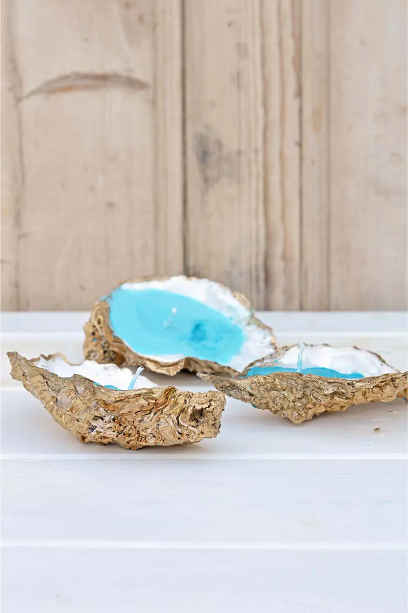 Handmade candles in oyster shells