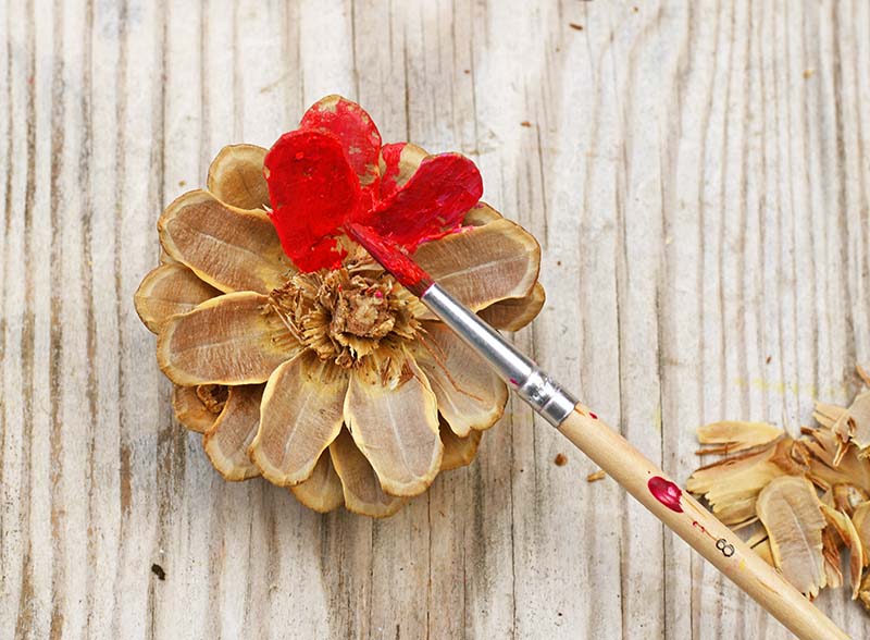 Painting pine cone flowers