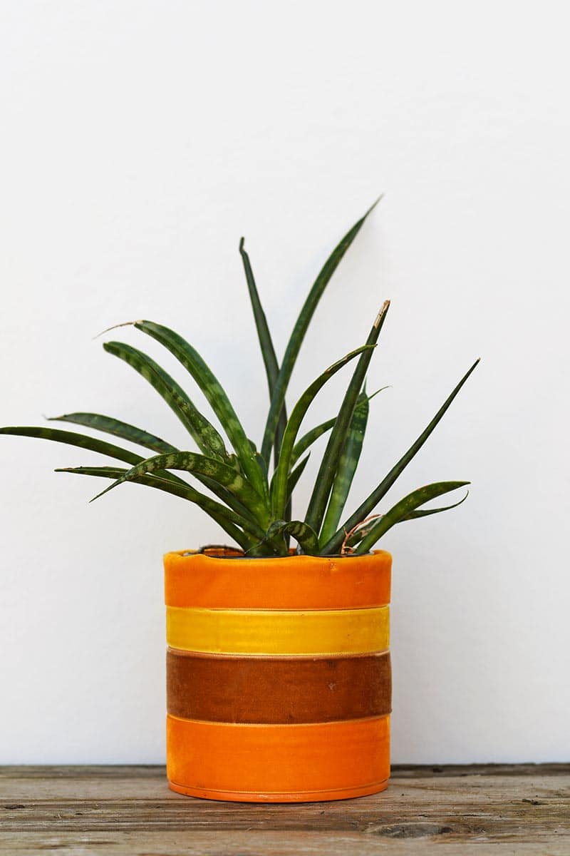 Velvet upcycled planters with tin cans