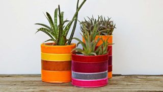 Velvet upcycled planters