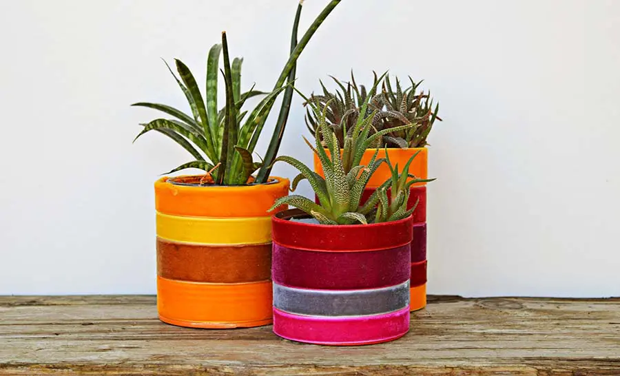 Velvet upcycled planters