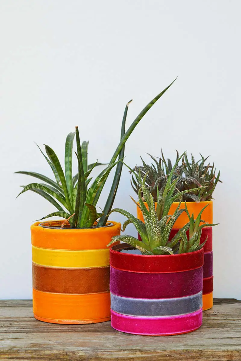 velvet ribbon planters in oranges and purples