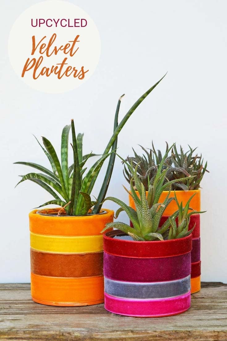 Velvet and tin can indoor planters