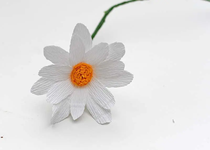 DIY crepe paper daisy 