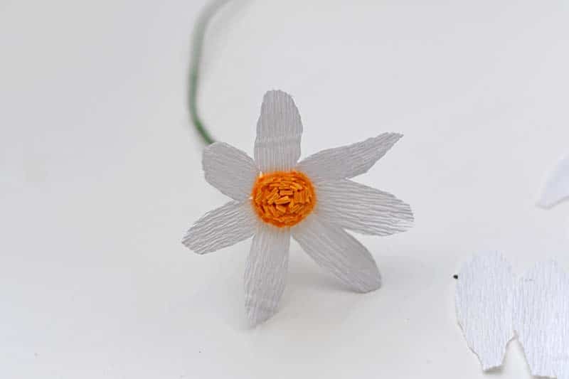 Half finished crepe paper daisy