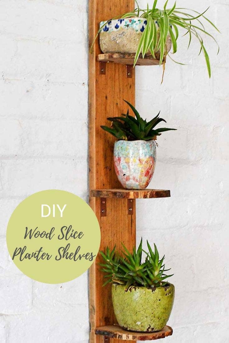 DIY planter shelves from natural wood slices