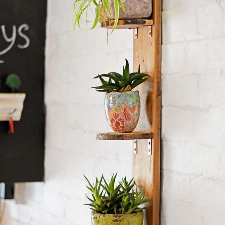 How To Make Diy Plant Shelves Using Wood Slices Pillar Box Blue - Diy Plant Wall Shelf Ideas