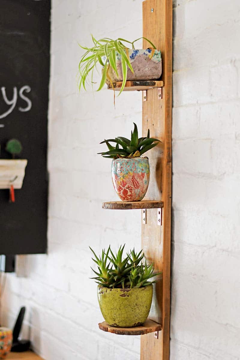 15 DIY Plant Stands & Shelves to Showcase Your Indoor Garden