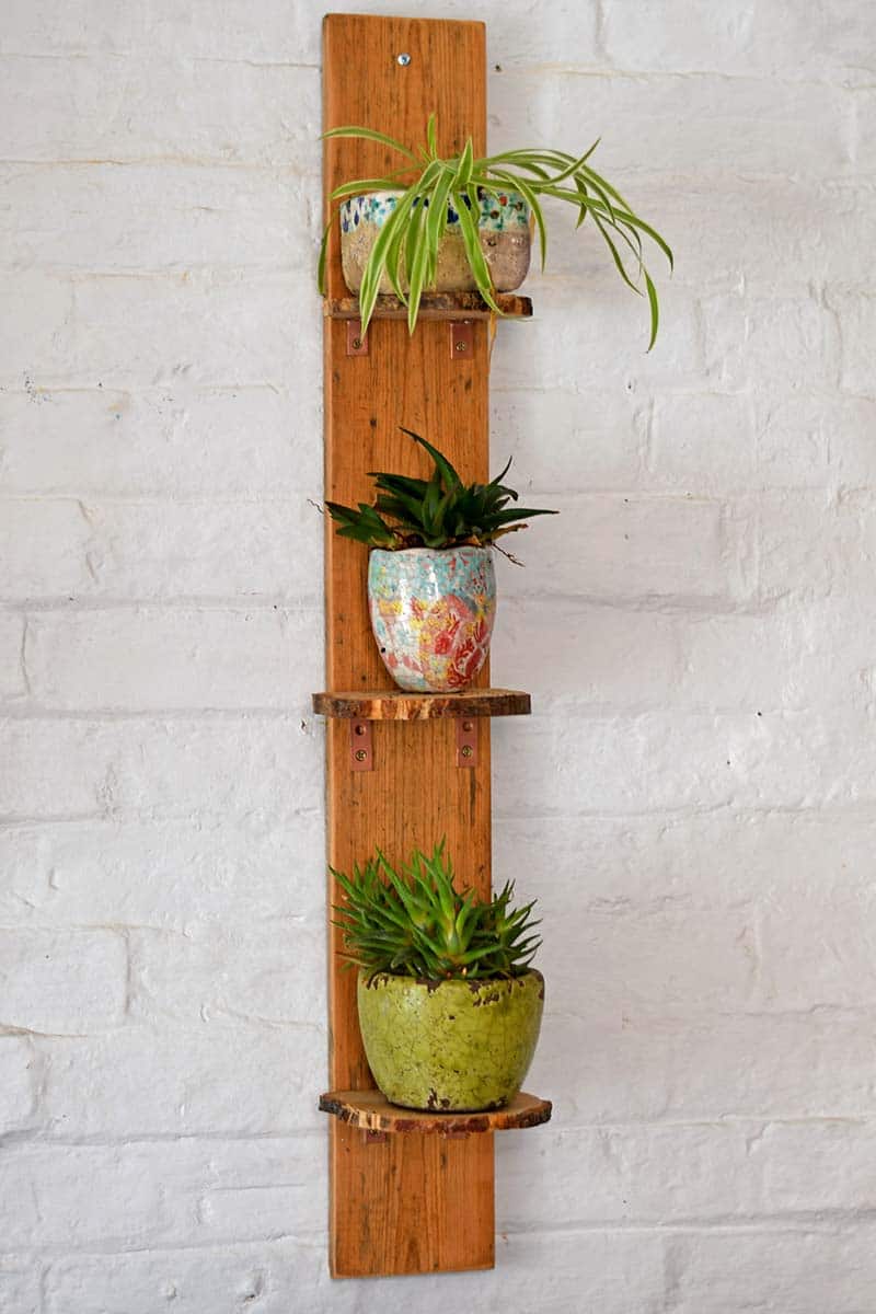 DIY plant shelves with a natural wood edge