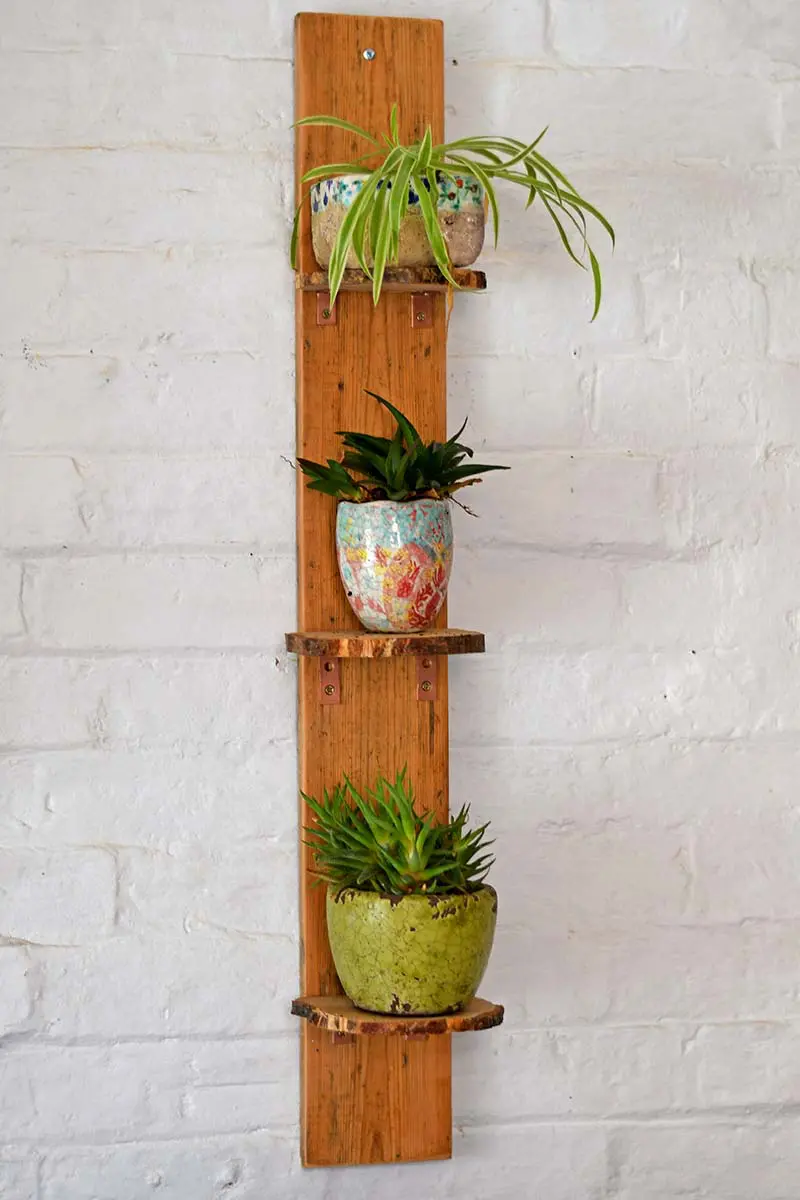 DIY plant shelves with a natural wood edge