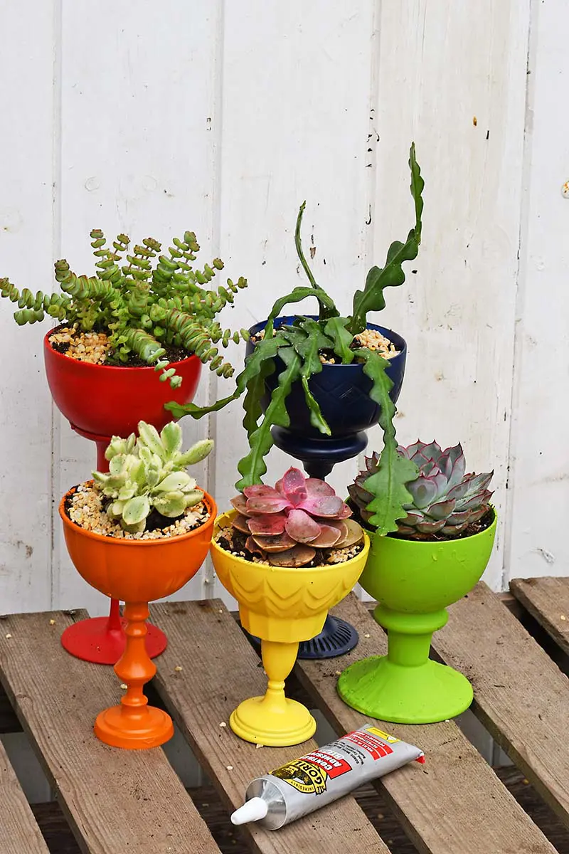 rainbow upcycled succulent planters