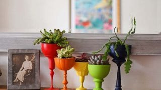 rainbow planters for succulents