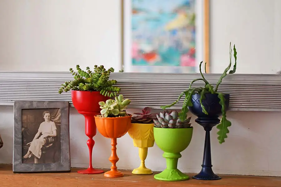 rainbow planters for succulents