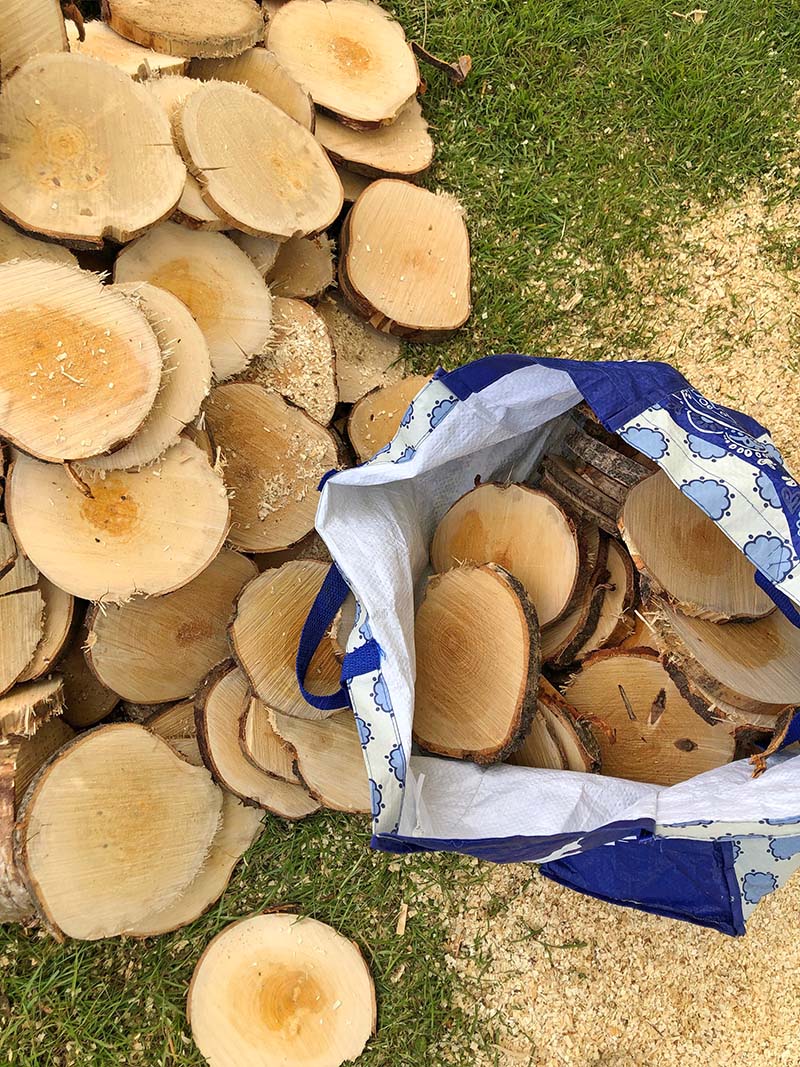 Pile of large wood slices
