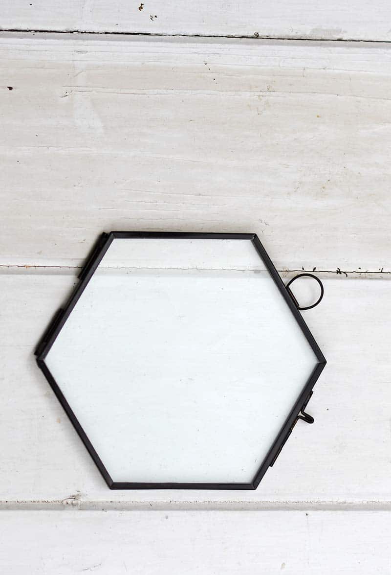 glass hexagon frame