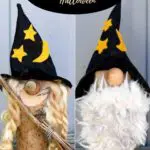 witch and wizard gnomes