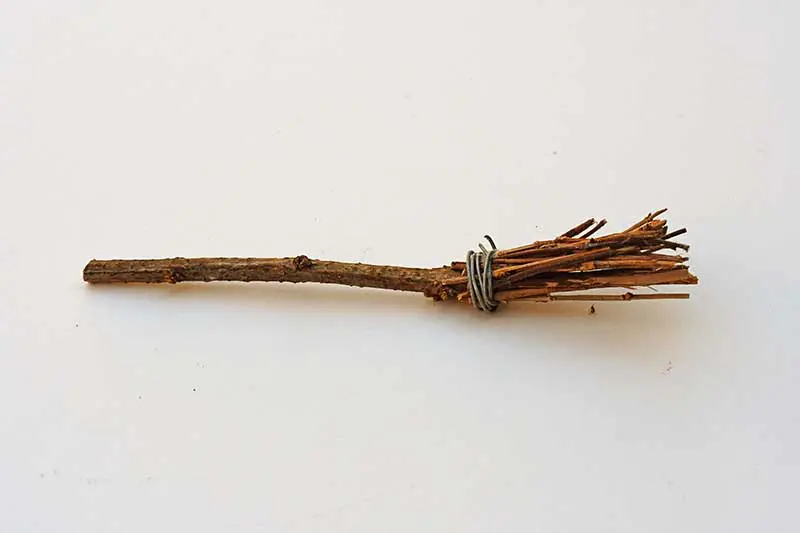 Witches broom from twigs