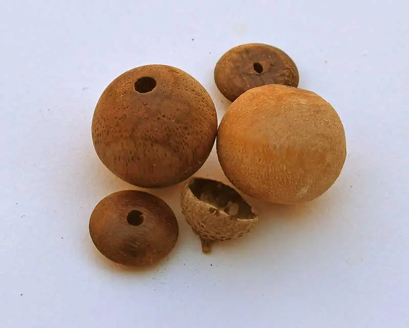 wooden beads