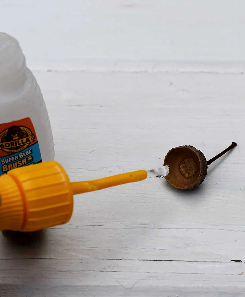 brushing acorn cap with glue