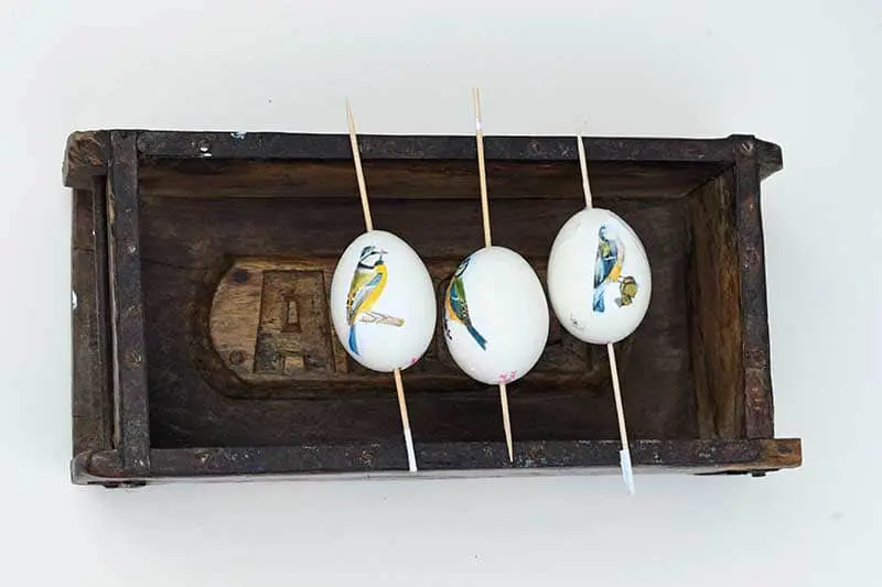 Decoupage eggs drying
