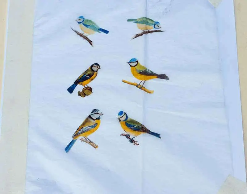 Printed birds on tissue paper