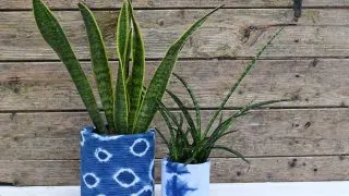 2 indigo planters