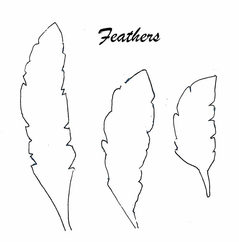 Feather template
