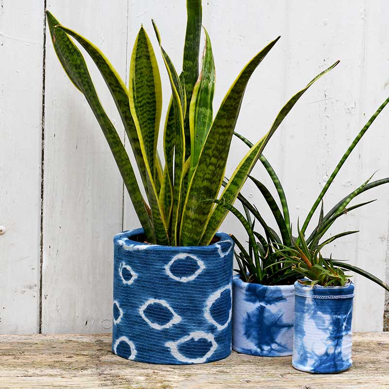 3 indigo planters