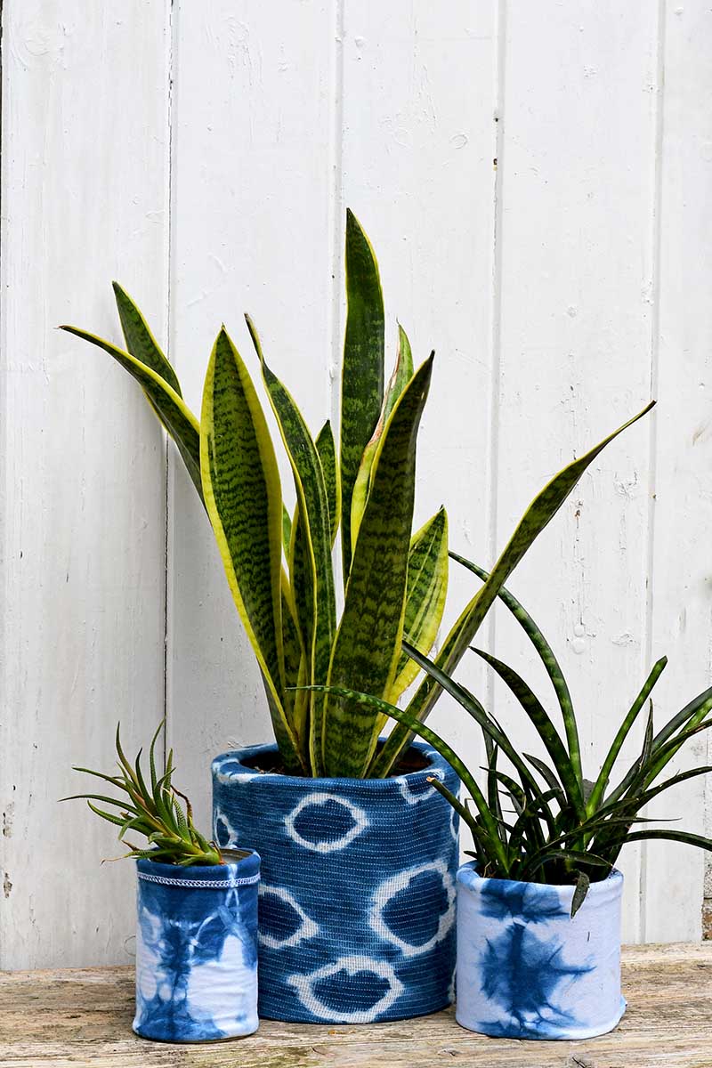 Upcycled indigo planters