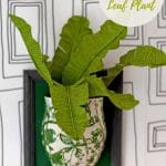 DIY tropical leaf plant