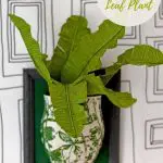 DIY tropical leaf plant