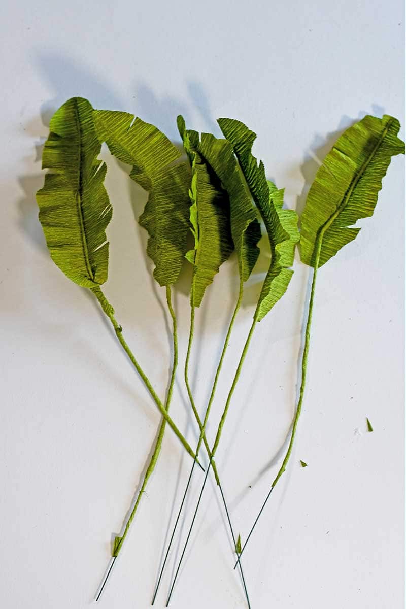 DIY tropical leaf plant