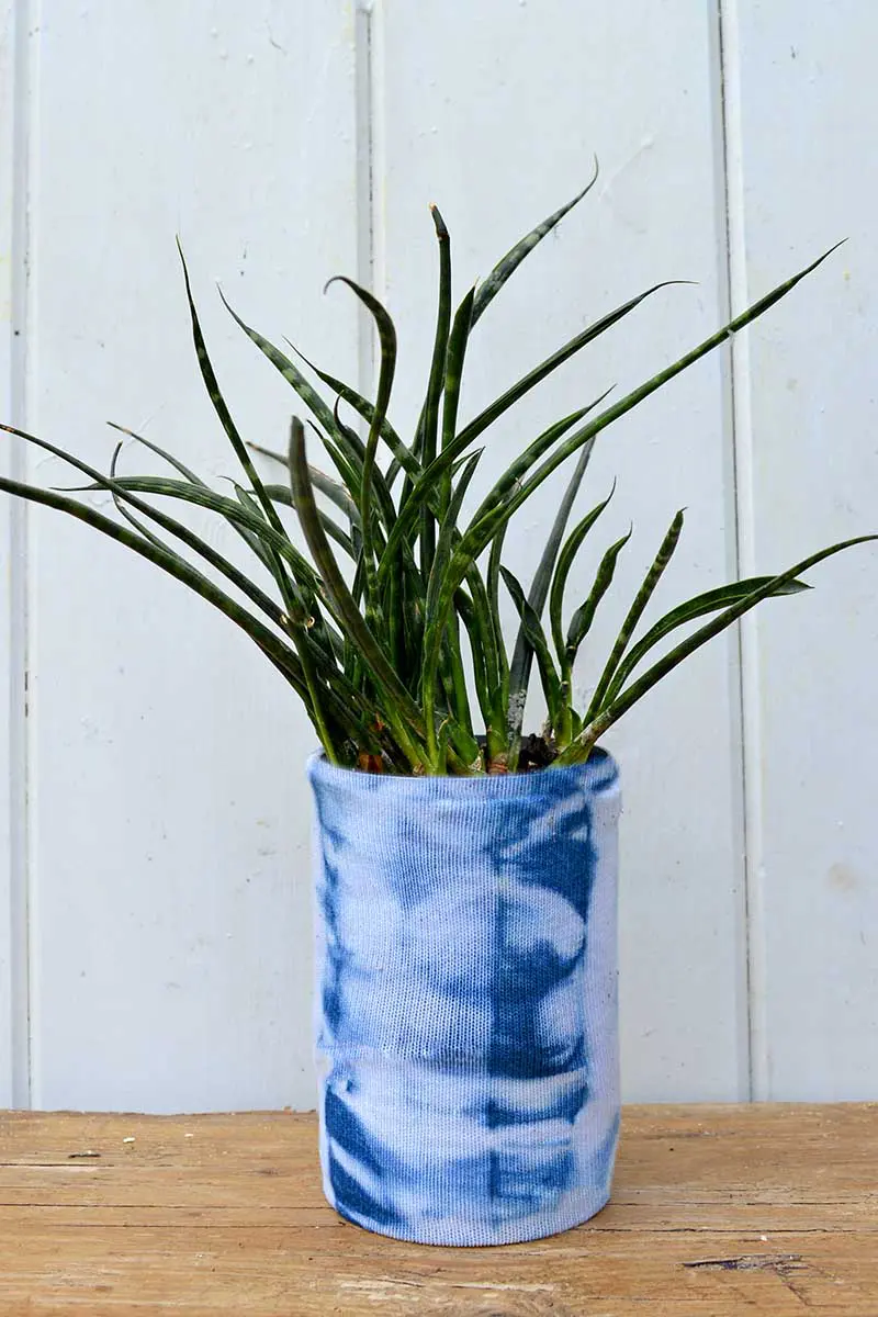 Shibori tin can planters.