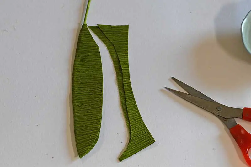 cutting the leaf shape