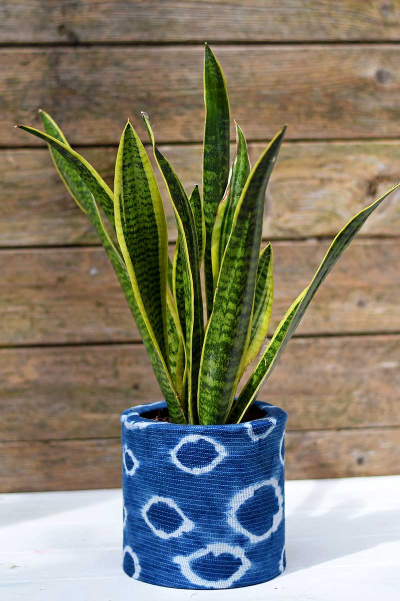 Upcycled Shibori indigo planters