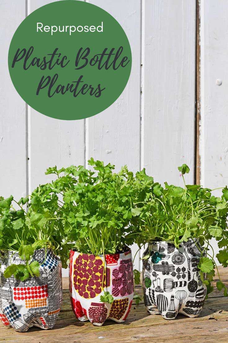 repurposed plastic bottle herb garden