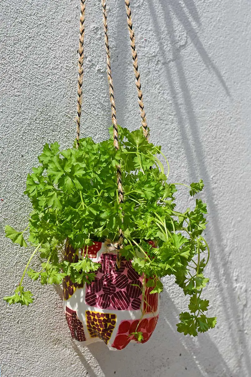 upcycled hanging herb planter