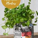 epurposed soda bottle planters