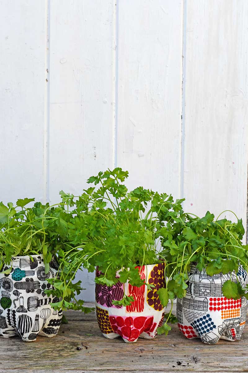 repurposed plastic bottle garden